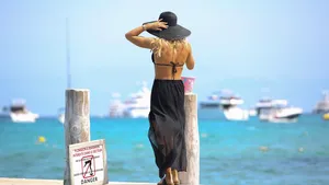 Je droomvakantie naar Saint-Tropez in duigen? Een minuscule mier zorgt voor paniek aan de Côte d'Azur. Wij vertellen je hoe je chic en veilig blijft.