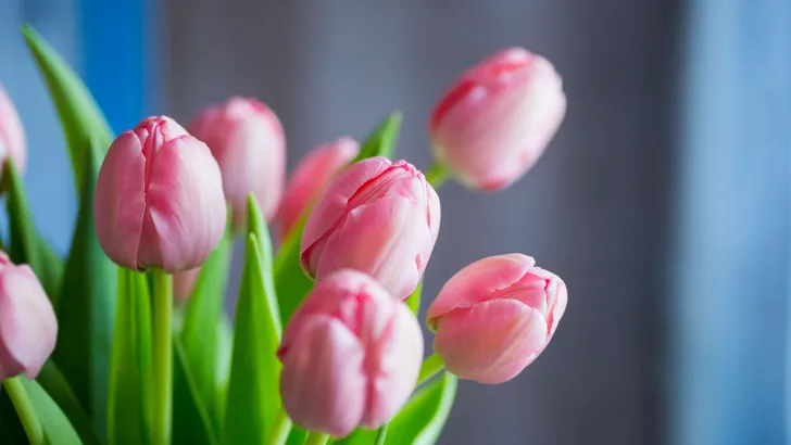 Bloemen