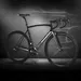 Speciale limited edition Koga Kimera
