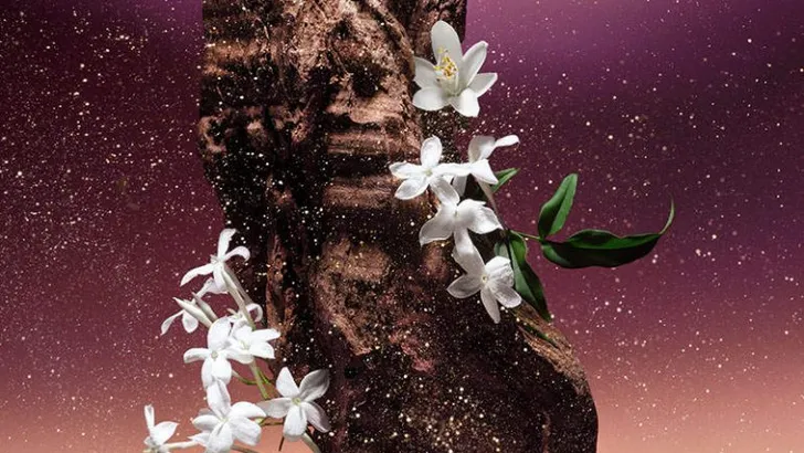 De 5 mooiste oud parfums van de zomer