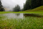 regen