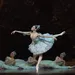 Dans of kijk mee tijdens World Ballet Day