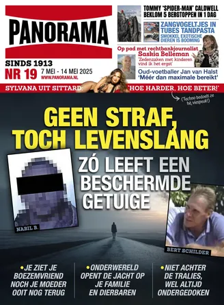 Cover Panorama: 19/2025