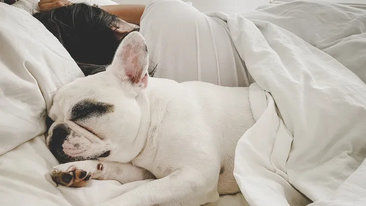 Woman sleeping with dog in bed