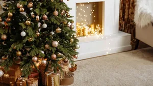 Feiten over de kerstboom