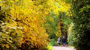 herfstwandeling