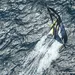 Vendee Globe
