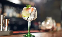 Gin Tonic
