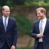 'Prins William en prins Harry zitten helemaal niet op een verzoening te wachten'