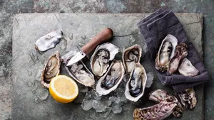 Bij deze zaken slurp je de beste oesters