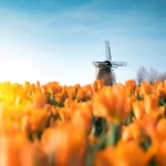Vastgoed