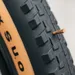Close-up van een zwarte fietsband met grove profielblokken en een bruine zijwang, waarin een kleine taps toelopende doorn gedeeltelijk in het rubber steekt tegen een lichte, onscherpe achtergrond