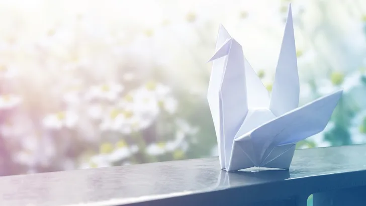 298.000 kraanvogels voor de slachtoffers van MH17 krijgen eindelijk een plek