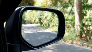 Dit is waarom je in het voorjaar steeds vaker plastic zakken om autospiegels ziet