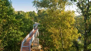 Het Kruinenpad: wandelen op hoog niveau