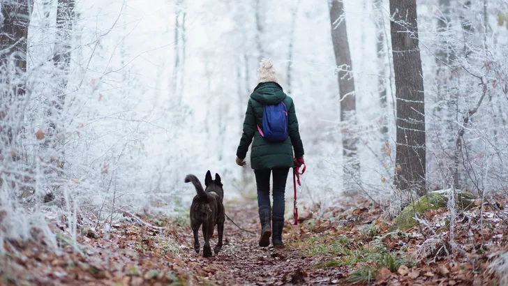 Wandeling met de hond