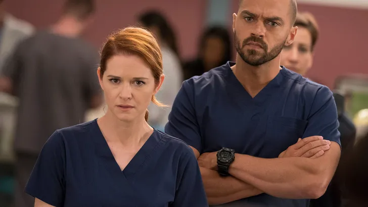 ABC's "Grey's Anatomy" - Season Fourteen