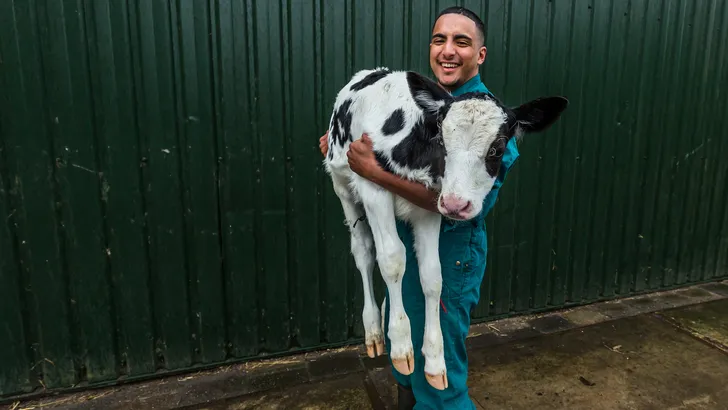 De enige Marokkaanse boer in Nederland