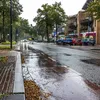 Verdachte dodelijke steekpartij Den Dolder kampte met 'wraakfantasieën' | Panorama