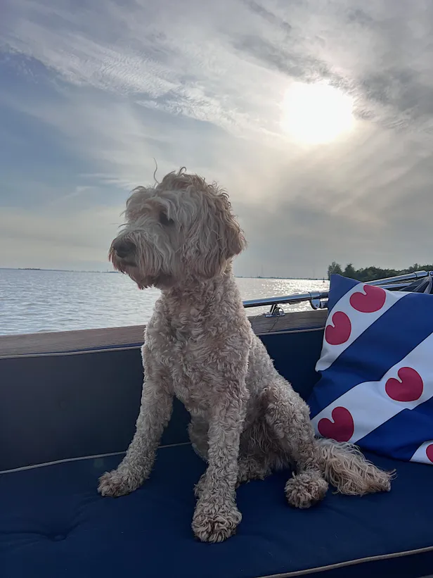 Met hond Moos op de boot