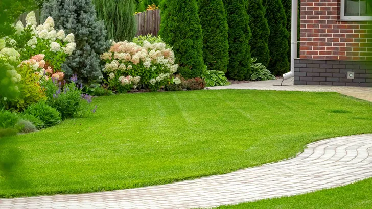 Tuin