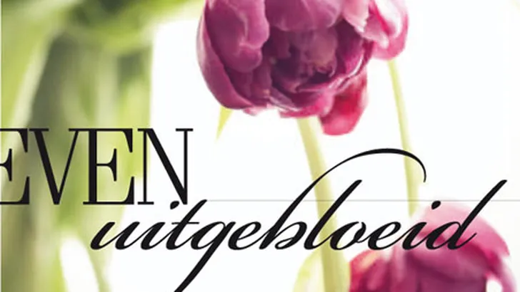 Mijn energie raakte langzamerhand op