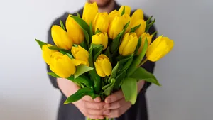 Ter illustratie: een bos tulpen.