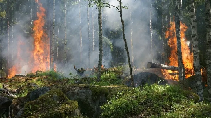 Duitser steekt eigen kak in de fik en veroorzaakt bosbrand
