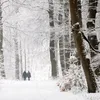 De winter saai en grauw? Deze 3 wandelingen in Drenthe bewijzen het tegendeel | Noorderland
