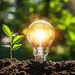 Van landbouwgrond tot energiehub: wat er nu echt verandert in Nederland