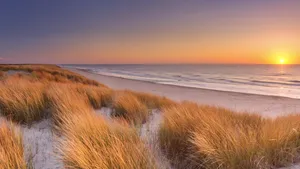 Dunes and beach at sunset on Texel island, The Netherlands