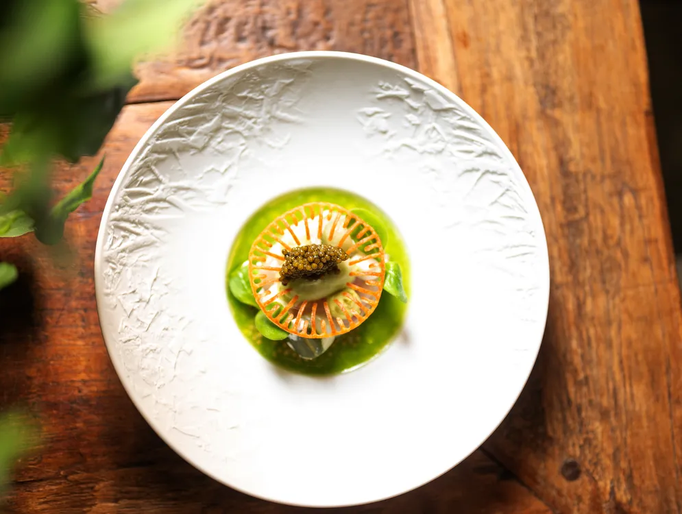 Foto 11 van Sillyfox