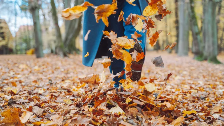 wandelen herfst humeur blaadjes 