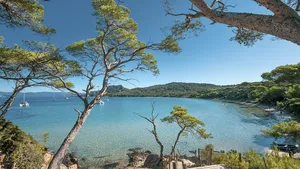 Prêt-à-boire in Porquerolle: haute vin 