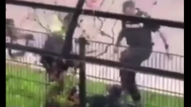 Video: Agent schopt coronademonstrant tegen hoofd: ‘K*tmongool, laat de stad met rust!’