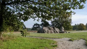 Holtingerveld