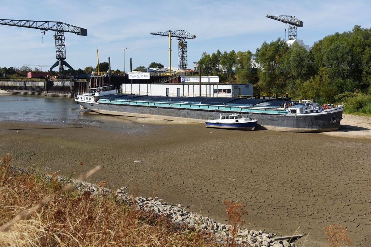 Rijn breekt 79 jaar oud laagwaterrecord: schepen liggen droog bij Tolkamer