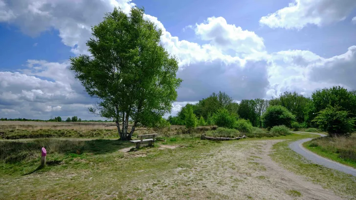 Fietsroute