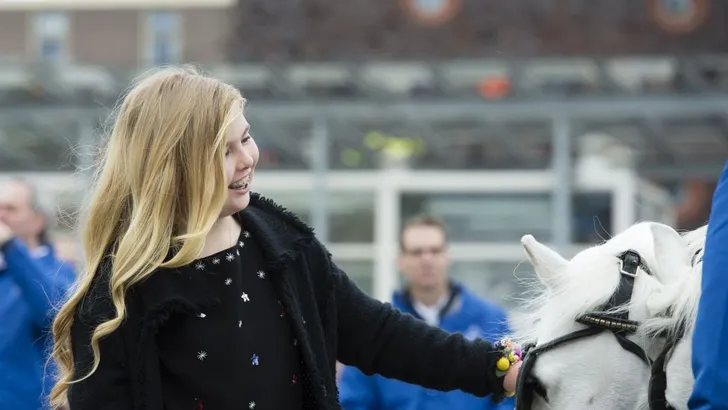 10x prinses Amalia met Amazing hair