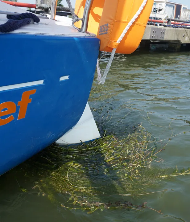 Kiel, roer of schroef vol groen? Meld het via waterplanten.nu!