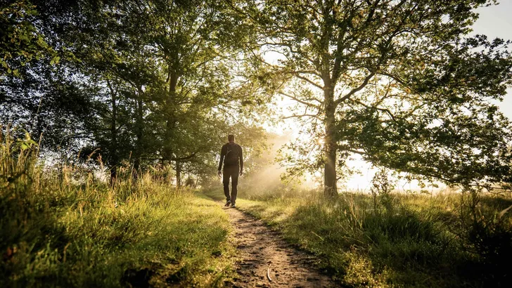 Natuur