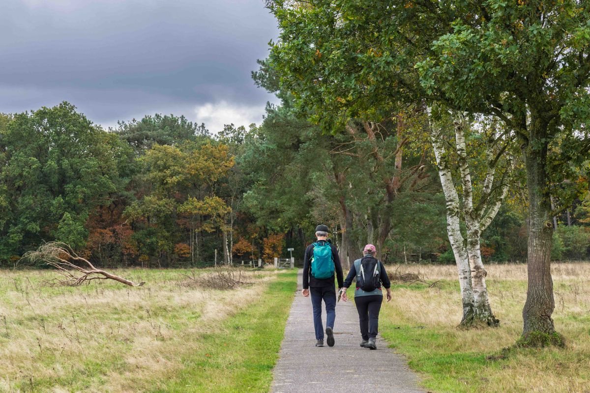 Drenthe in het klein: 3 verrassende wandelroutes onder de 6 kilometer