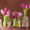 Zo blijven je tulpen langer mooi: 7 tips | Noorderland