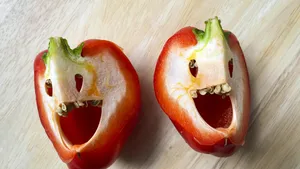 Bell pepper duo laughing gezichten Pareidolie