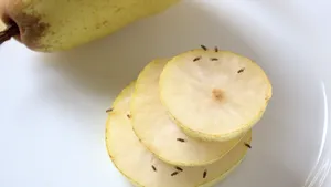 Fruitvliegjes in de keuken
