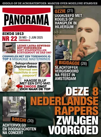 Cover Panorama: 22/2025