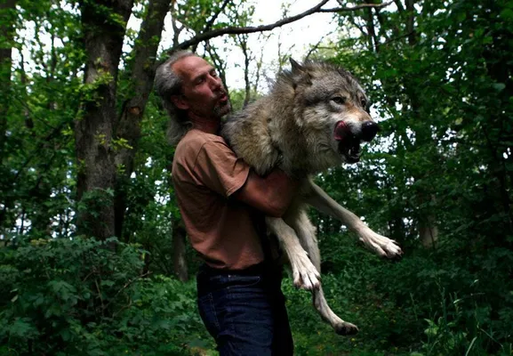 Jos de Bruin met een van zijn 'huisdieren', die met smaak een reerug verorbert.