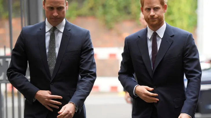 William en Harry boos over leugens rond Diana's interview