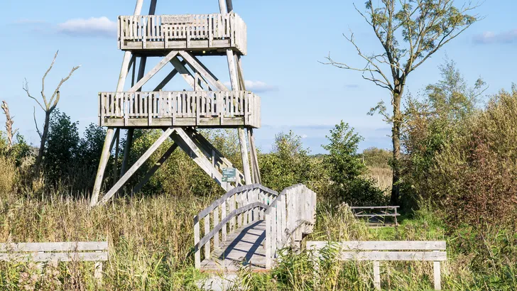 De Alde Feanen