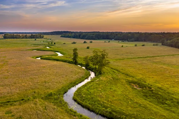 Koningsdiep Beetsterzwaag